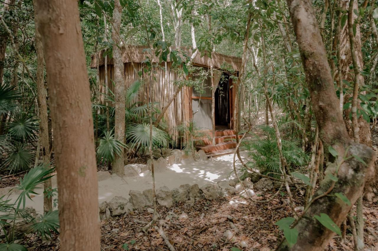 Naum - Secluded Villa With Private Cenote Tulum Esterno foto