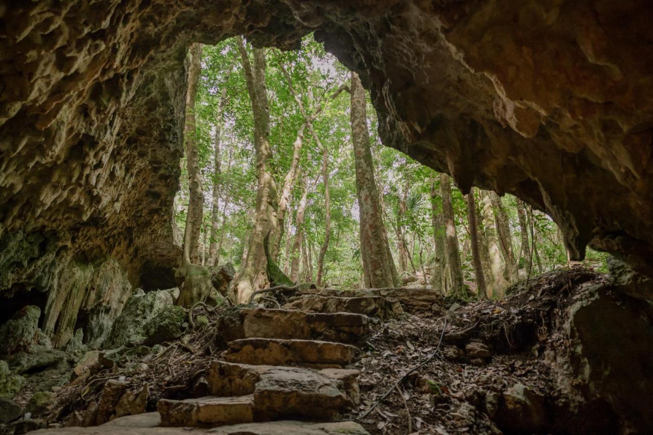 Naum - Secluded Villa With Private Cenote Tulum Esterno foto