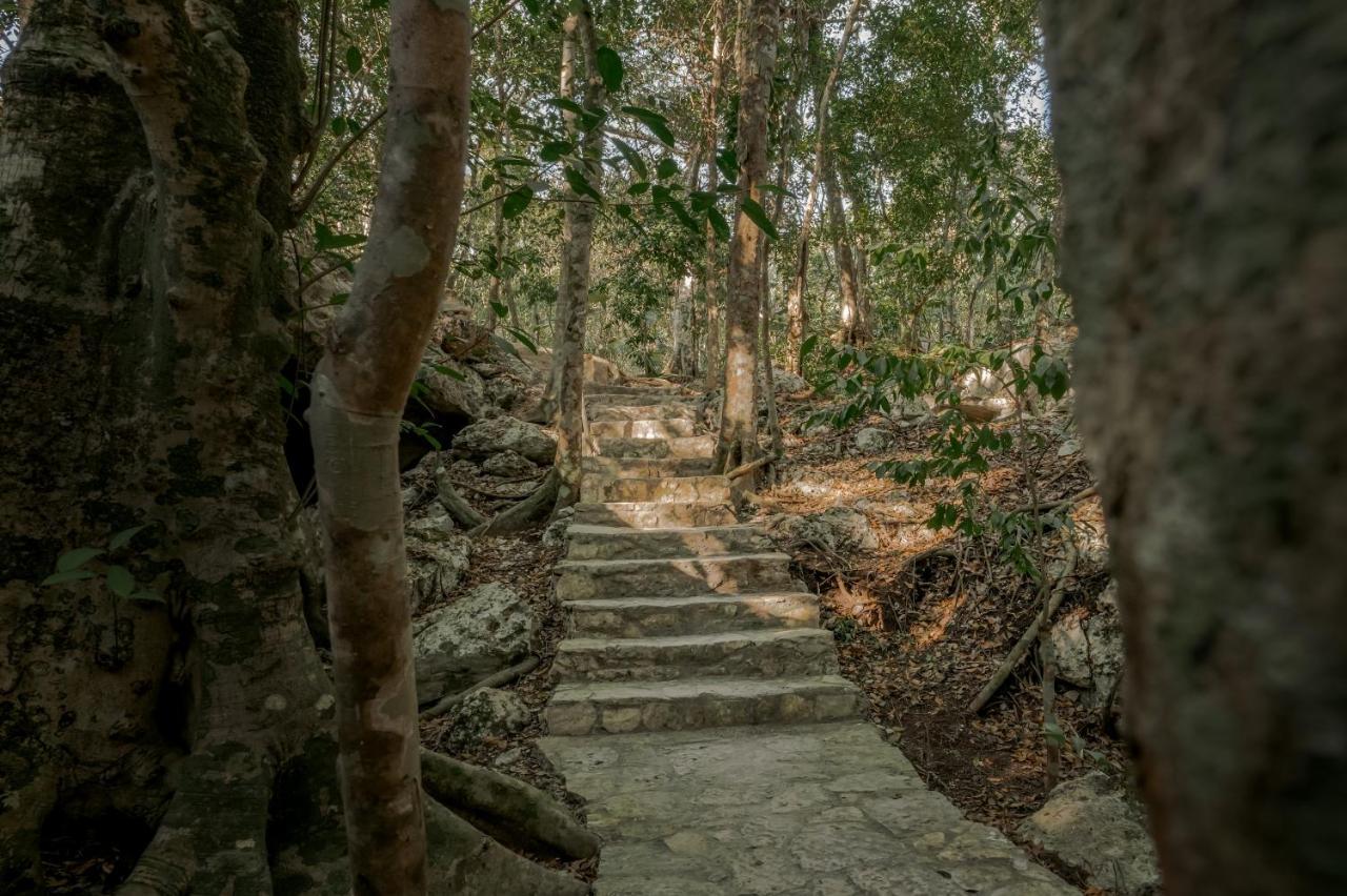 Naum - Secluded Villa With Private Cenote Tulum Esterno foto