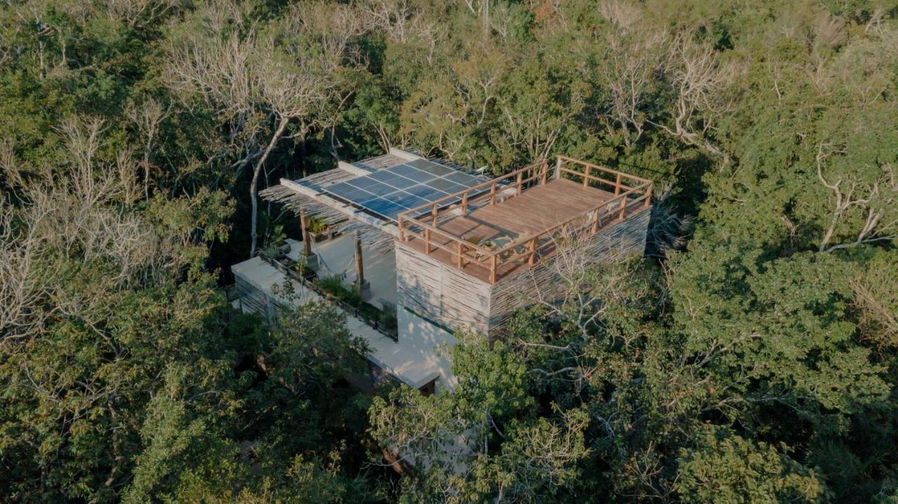 Naum - Secluded Villa With Private Cenote Tulum Esterno foto