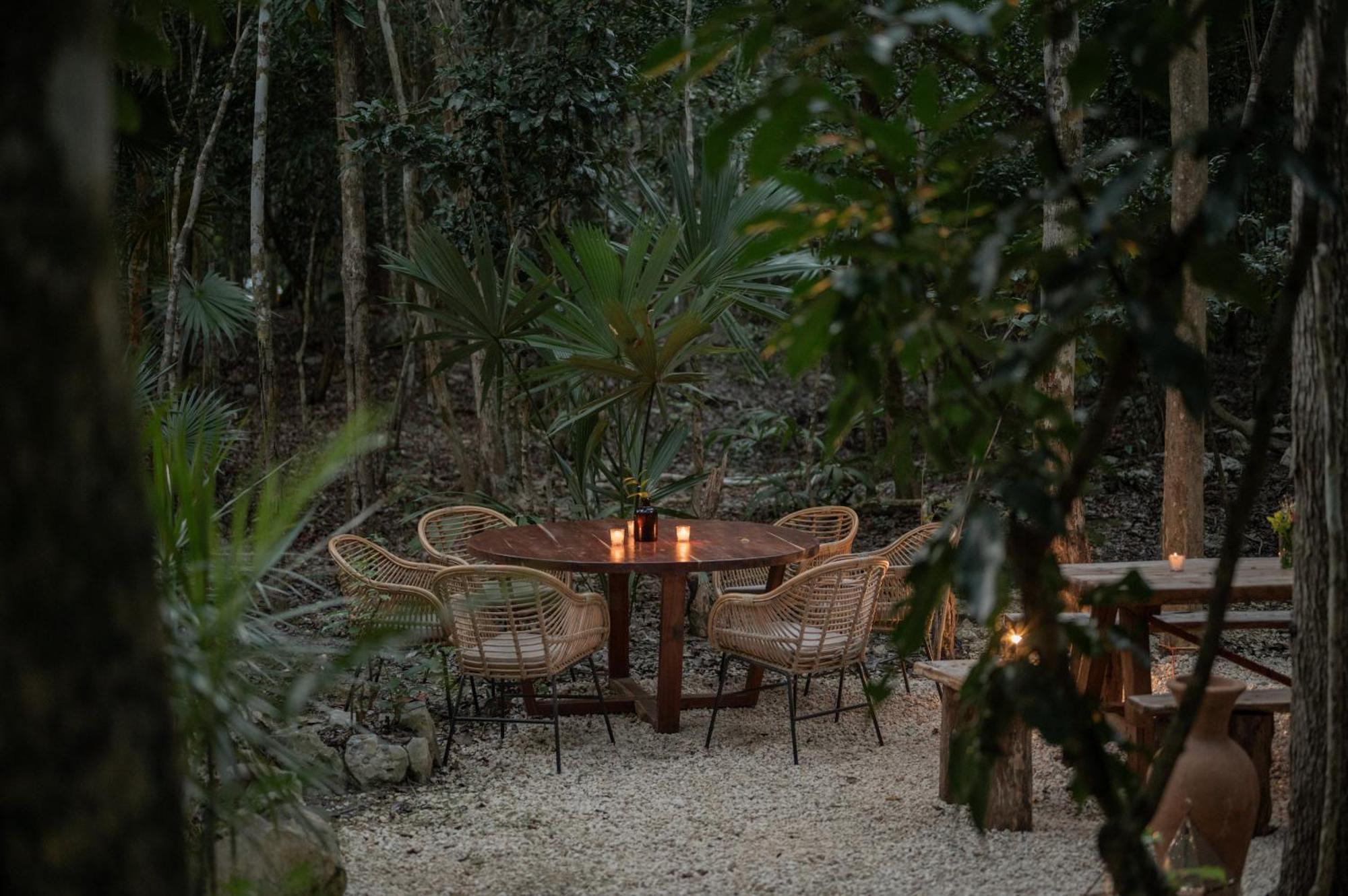Naum - Secluded Villa With Private Cenote Tulum Esterno foto