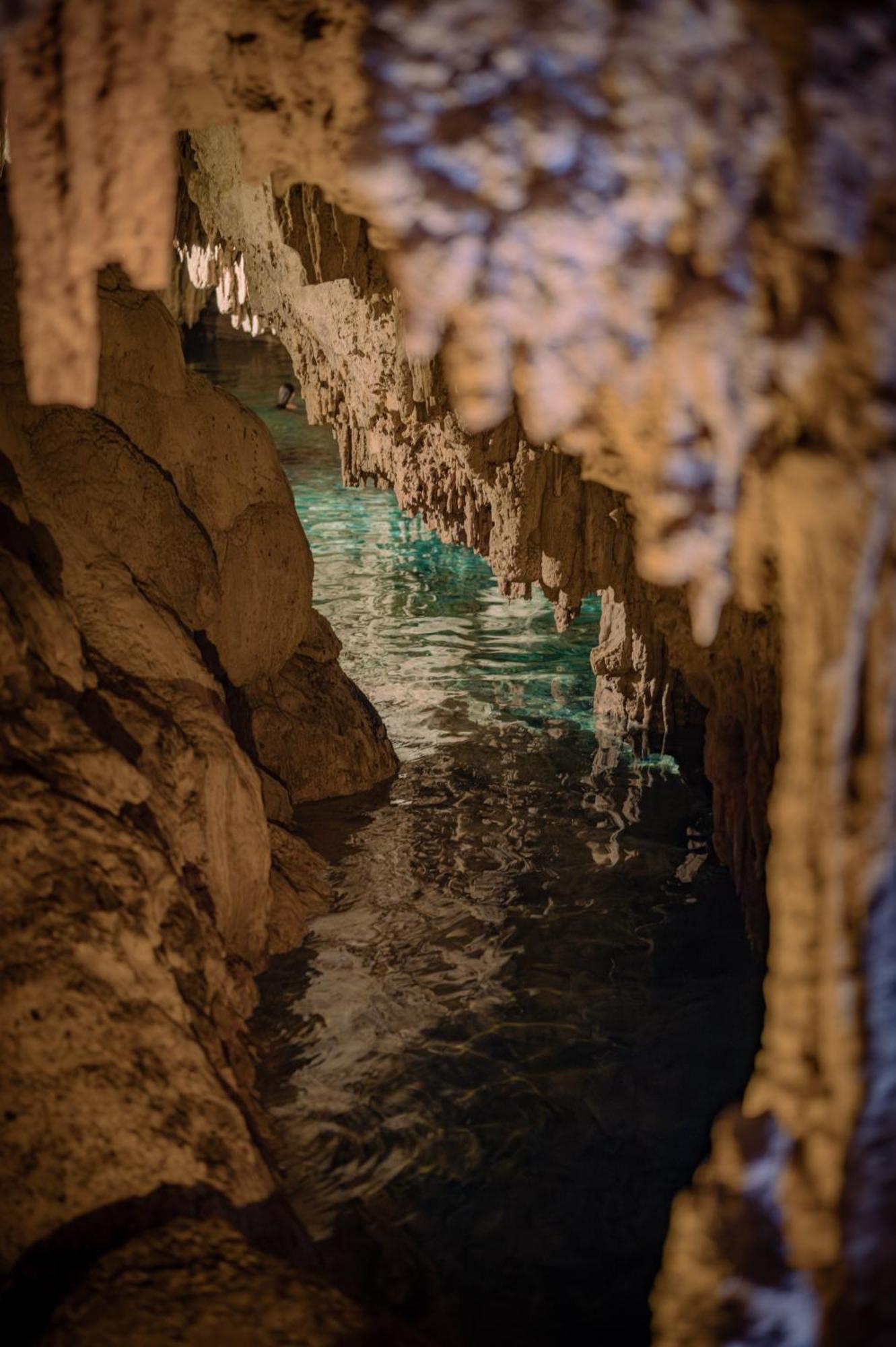 Naum - Secluded Villa With Private Cenote Tulum Esterno foto