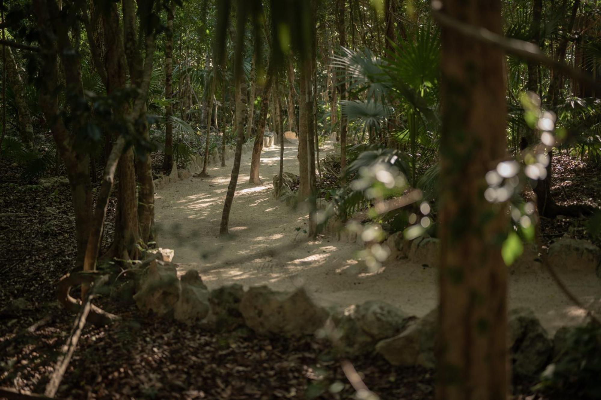 Naum - Secluded Villa With Private Cenote Tulum Esterno foto